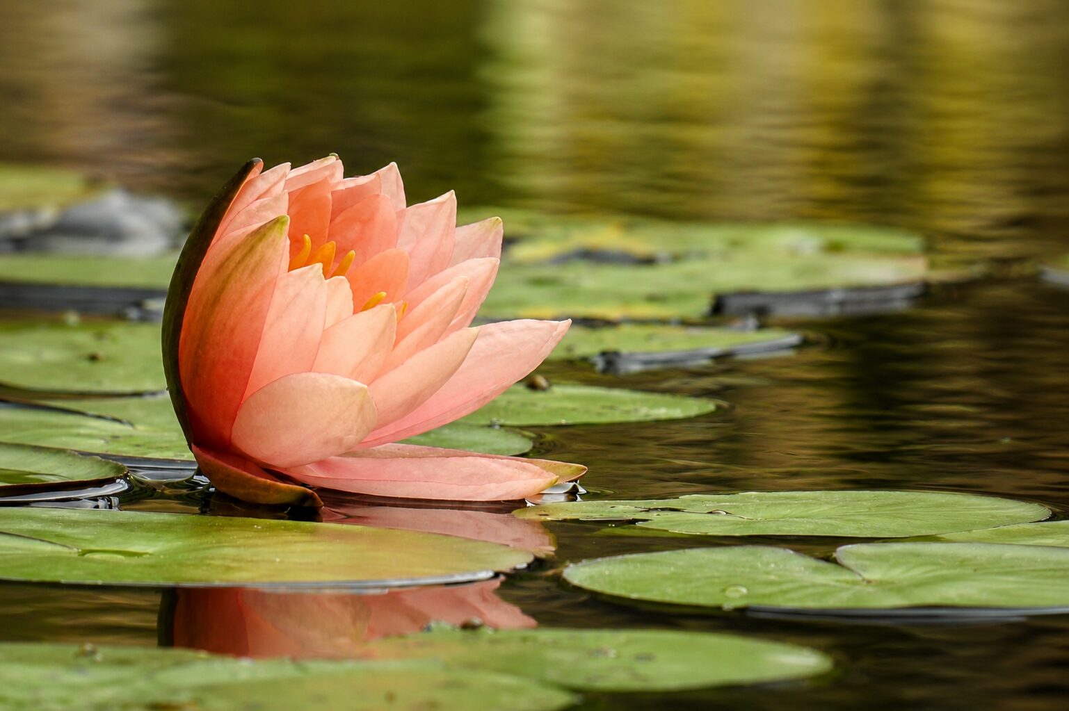 kundalini Yoga Lamballe Valentine Bouvier Destination Yoga